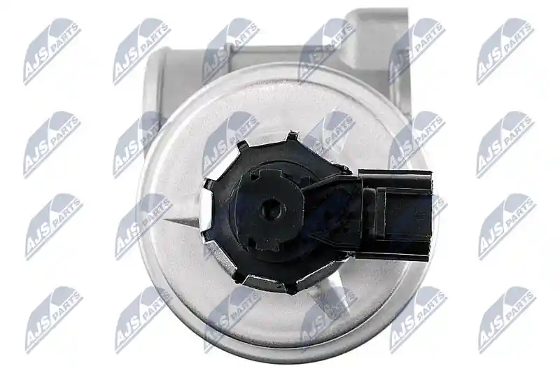 NTY EGR-FR-000 NTY EGR-FR-000