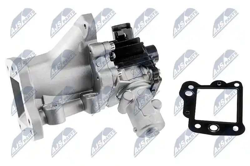 NTY EGR-FR-008 NTY EGR-FR-008