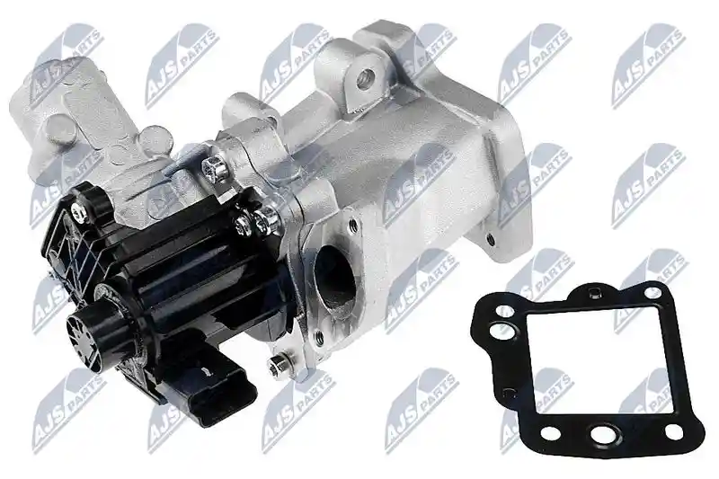 NTY EGR-FR-008 NTY EGR-FR-008