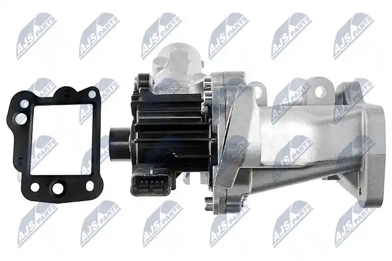 NTY EGR-FR-008 NTY EGR-FR-008