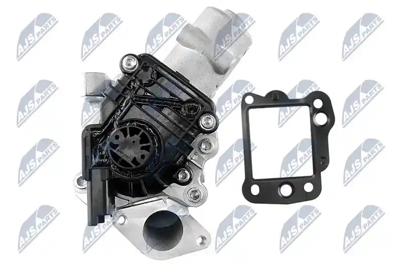 NTY EGR-FR-008 NTY EGR-FR-008