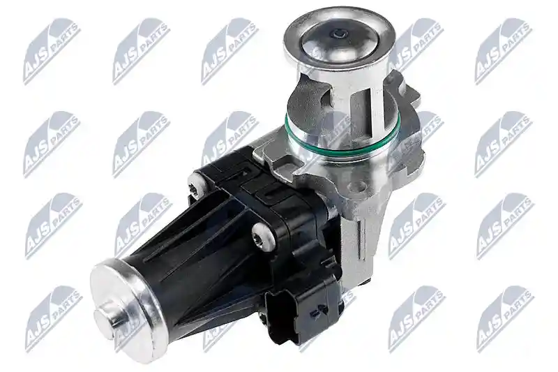 NTY EGR-FR-010