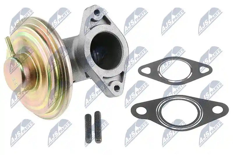 NTY EGR-FR-013