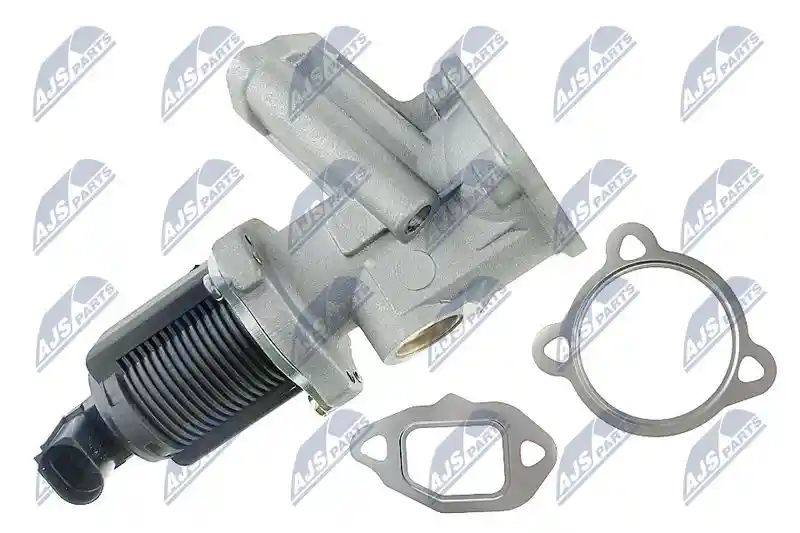 NTY EGR-FT-000