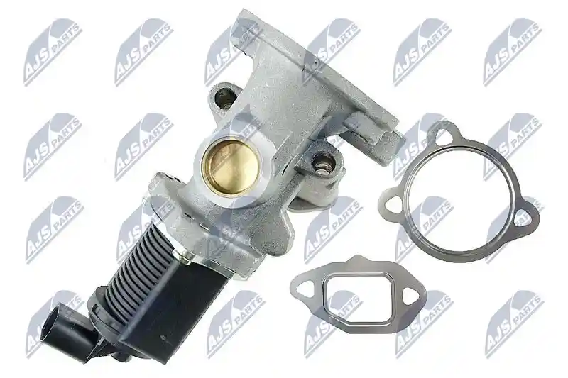 NTY EGR-FT-000