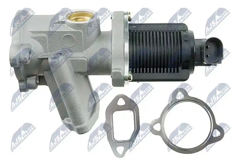 NTY EGR-FT-000