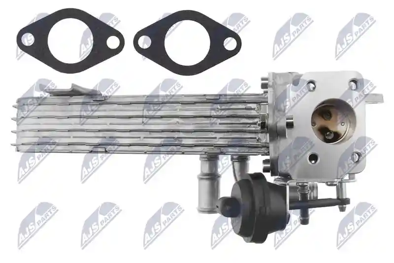 NTY EGR-MS-003