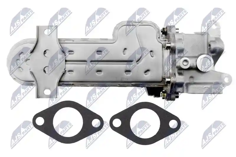 NTY EGR-MS-003