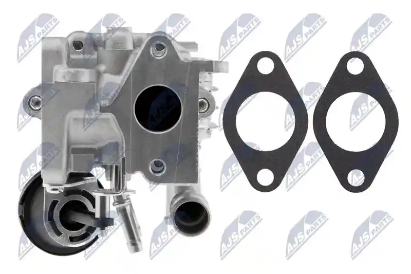 NTY EGR-MS-003