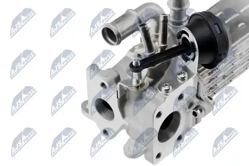 NTY EGR-MS-003