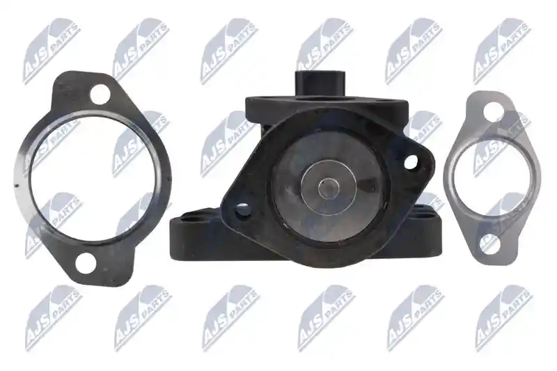 NTY EGR-MZ-003