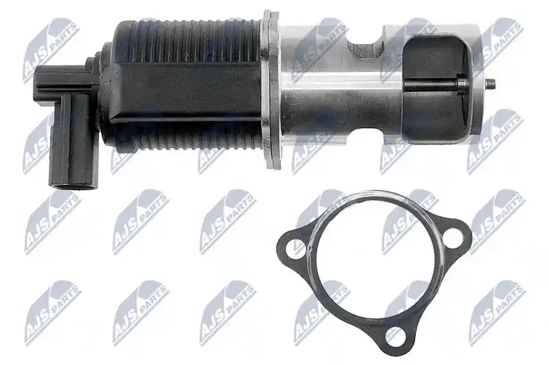 NTY EGR-PL-011 NTY EGR-PL-011