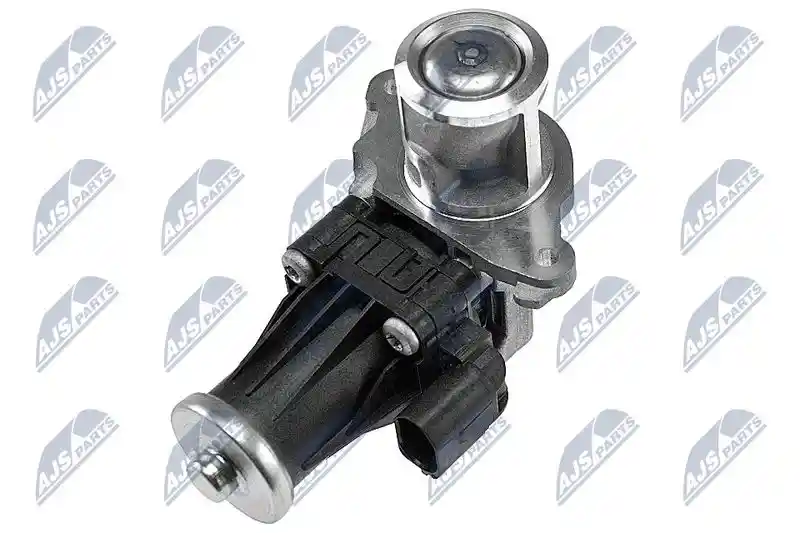 NTY EGR-PL-012