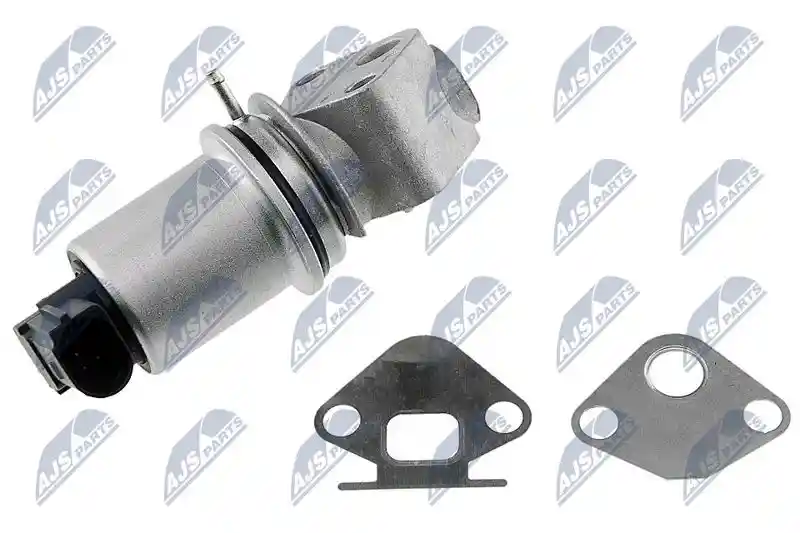 NTY EGR-SK-001