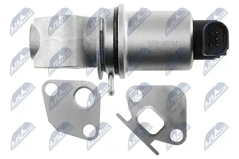 NTY EGR-SK-001