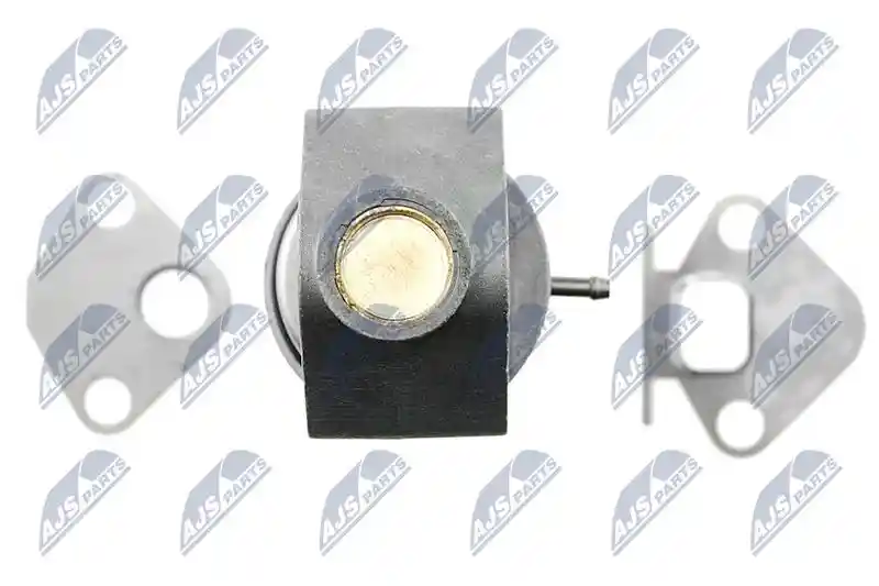 NTY EGR-SK-001