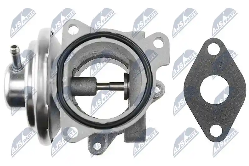 NTY EGR-SK-002 NTY EGR-SK-002