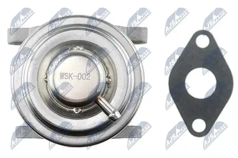 NTY EGR-SK-002 NTY EGR-SK-002