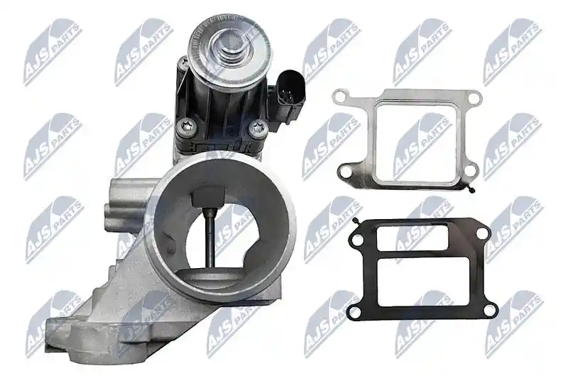 NTY EGR-VV-003