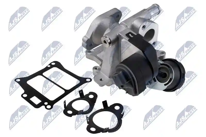 NTY EGR-VV-010