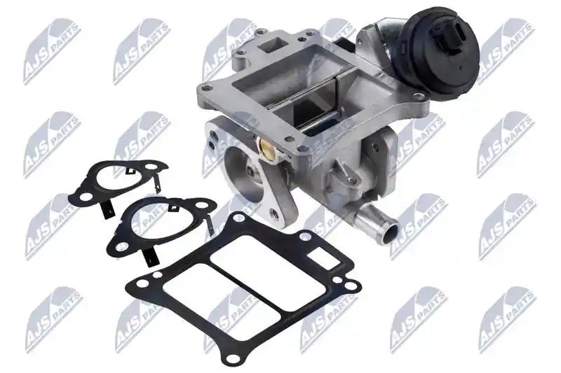 NTY EGR-VV-010