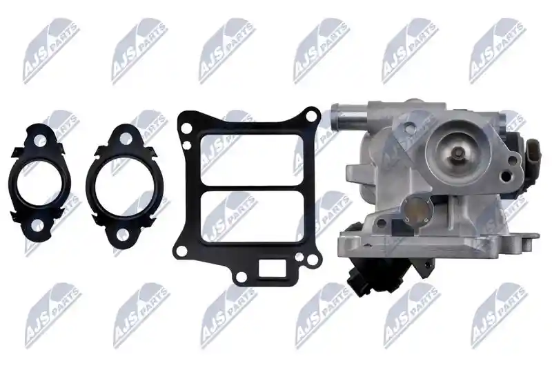 NTY EGR-VV-010