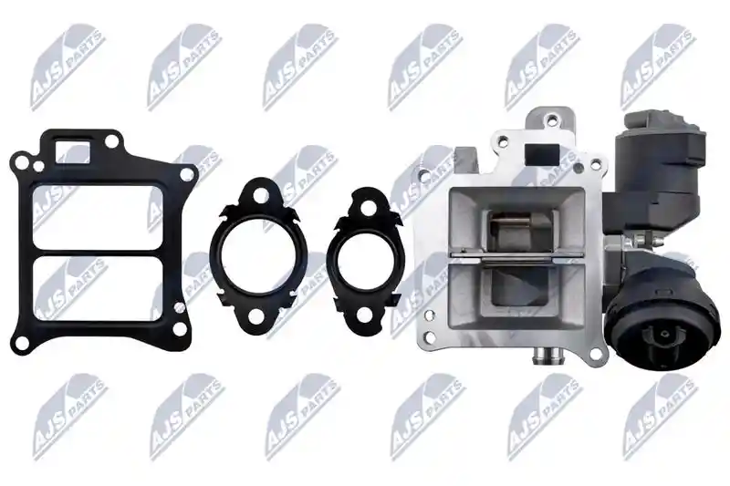 NTY EGR-VV-010