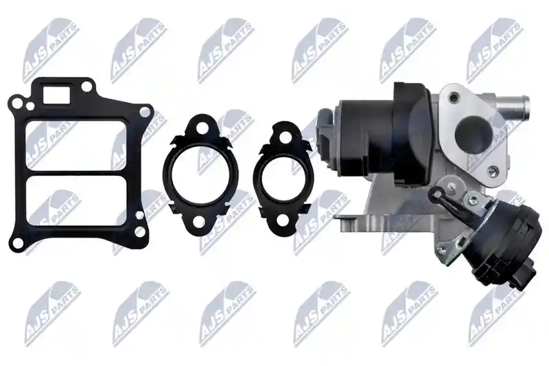 NTY EGR-VV-010