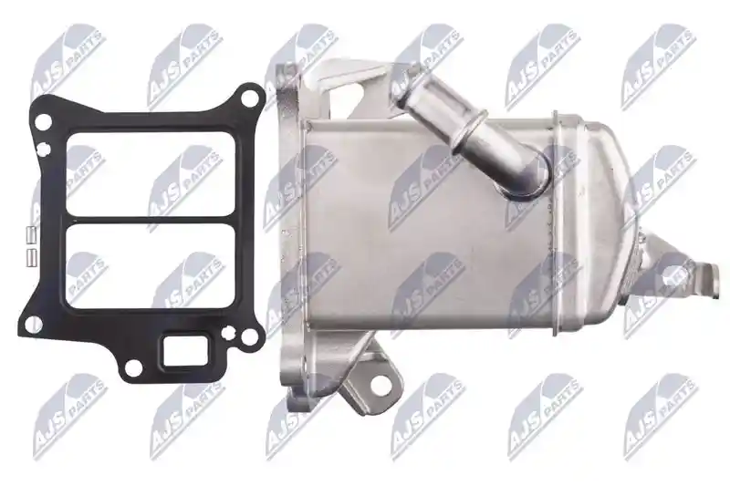 NTY EGR-VV-013