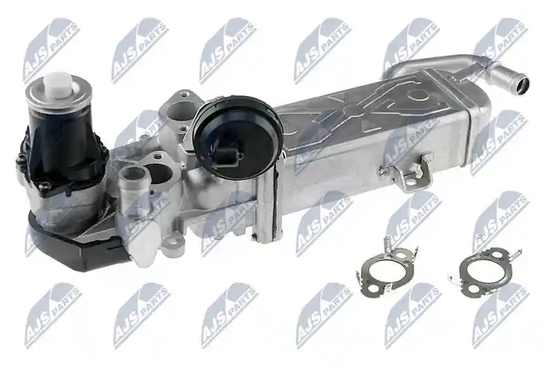 NTY EGR-WW-007
