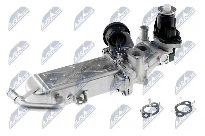 NTY EGR-WW-007