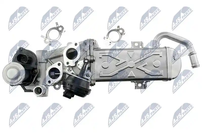 NTY EGR-WW-007