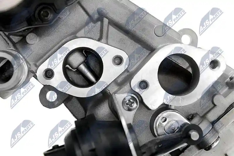 NTY EGR-WW-007