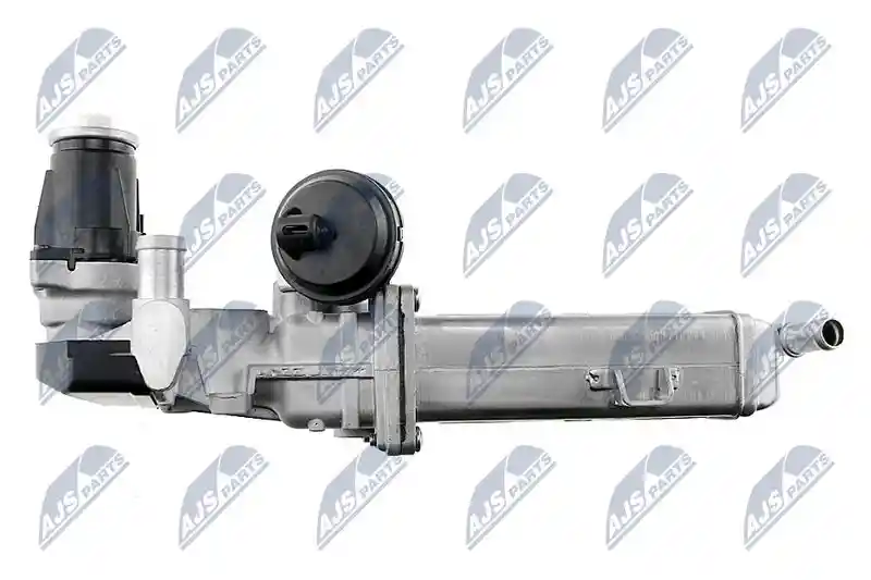 NTY EGR-WW-007