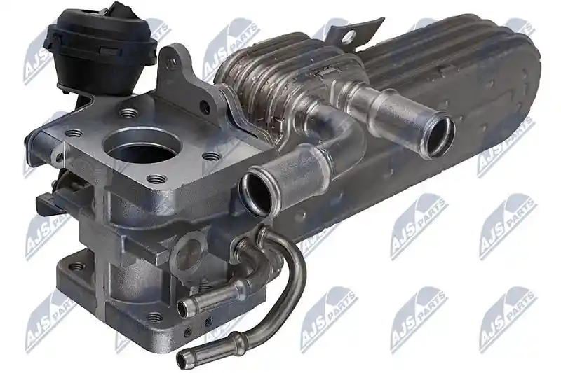 NTY EGR-WW-066