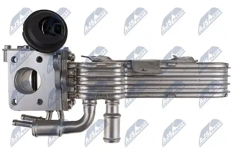 NTY EGR-WW-066