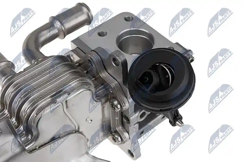 NTY EGR-WW-066