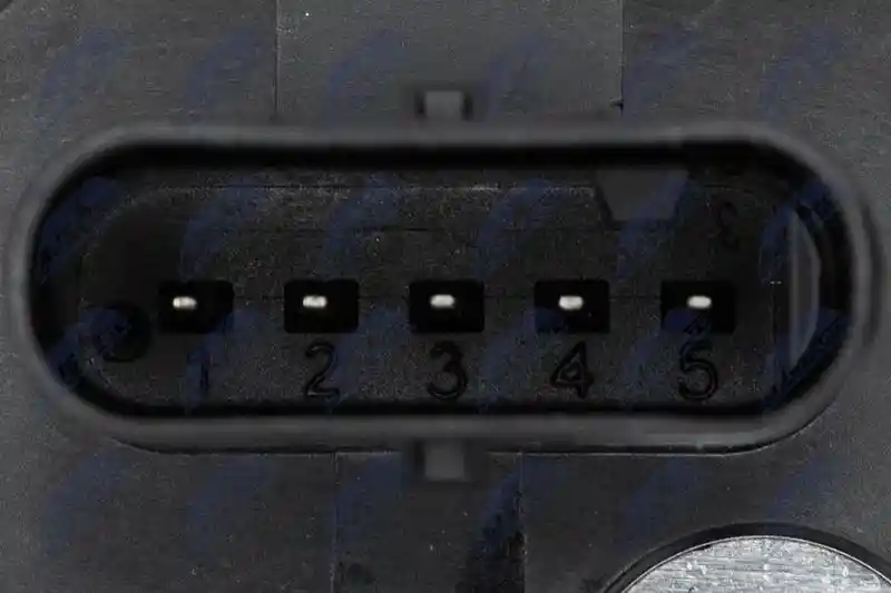 NTY EPP-AU-041