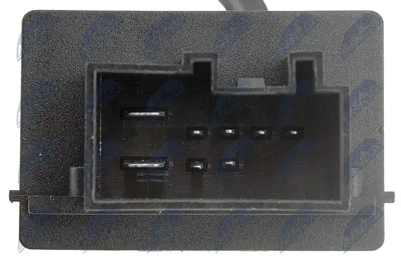 NTY EPW-WW-000