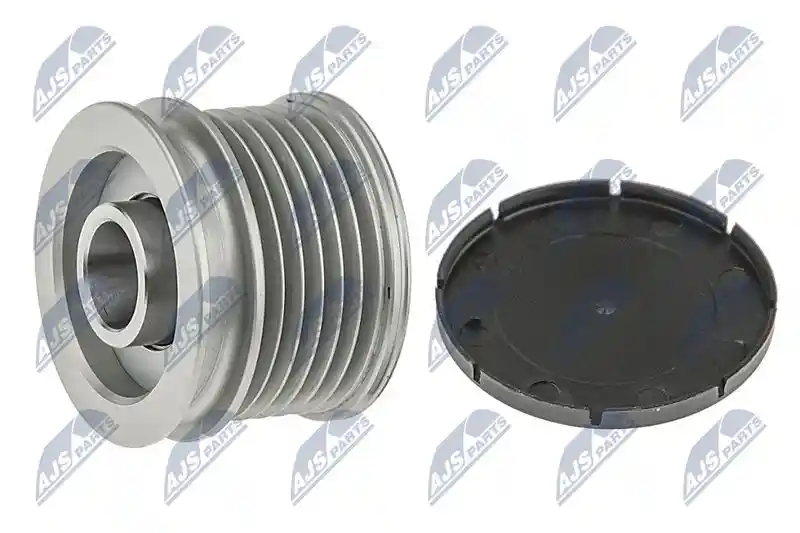 NTY ESA-AU-005