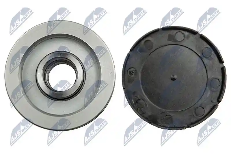 NTY ESA-AU-005