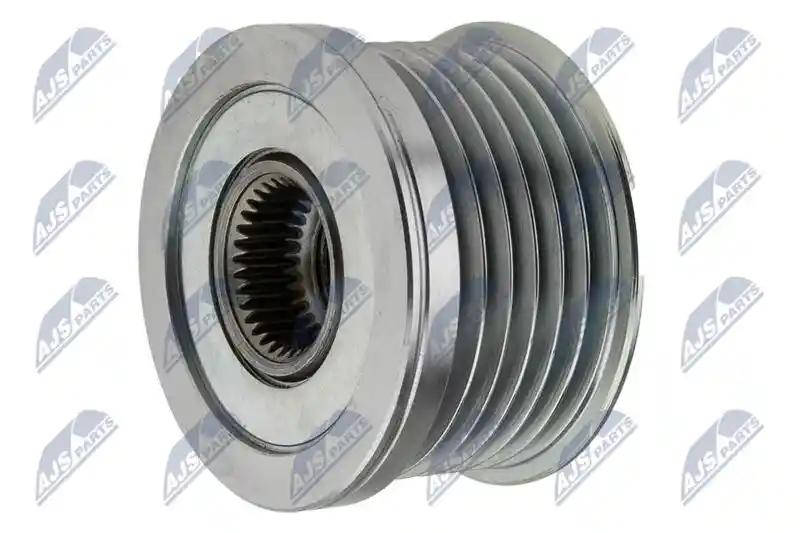 NTY ESA-AU-008