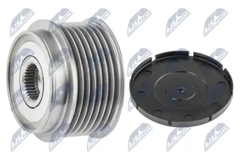 NTY ESA-NS-003
