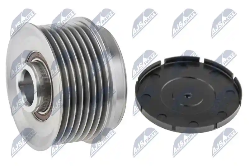 NTY ESA-NS-003