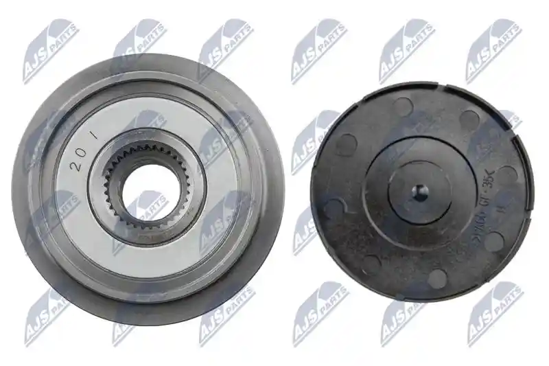 NTY ESA-NS-003