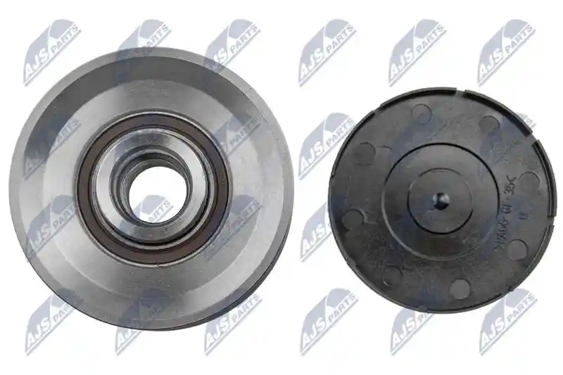 NTY ESA-NS-003