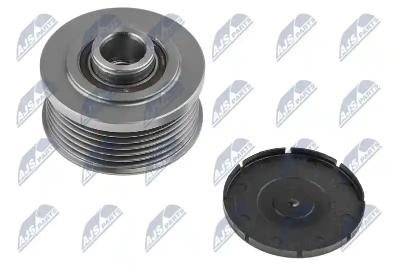 NTY ESA-PL-000