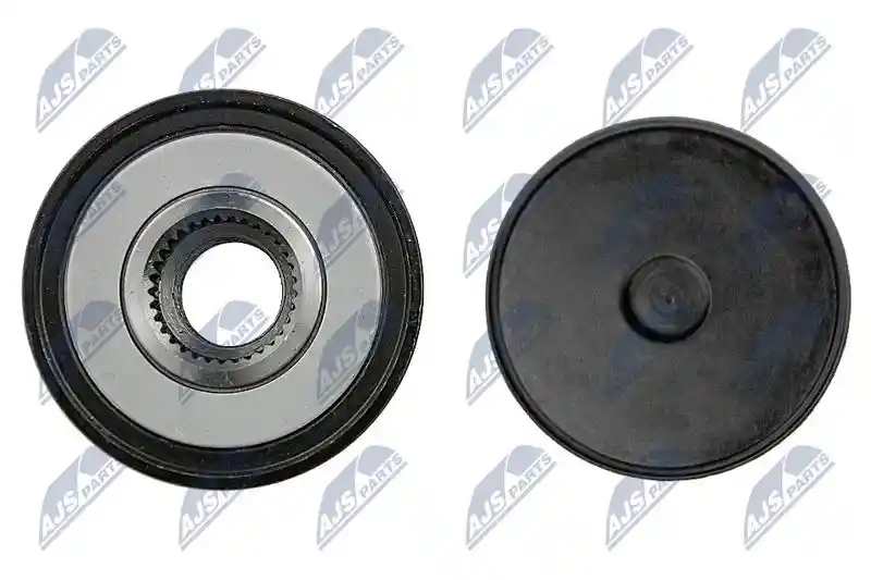 NTY ESA-RE-004