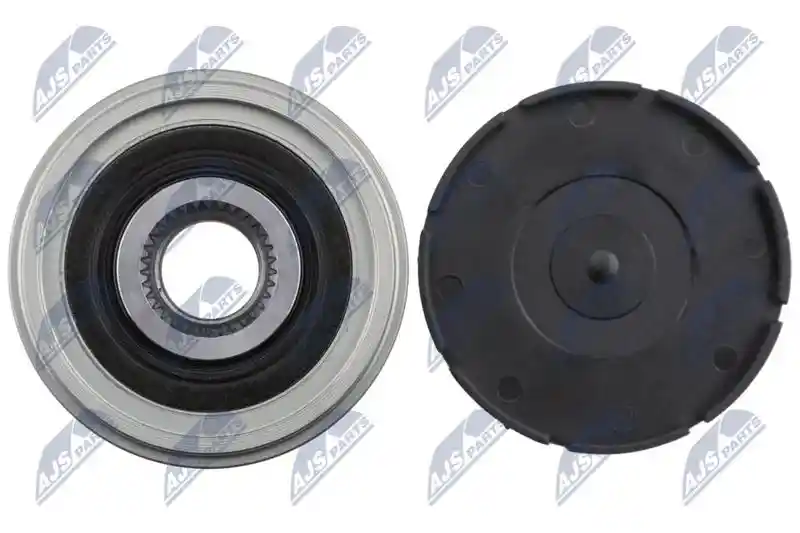 NTY ESA-VV-002