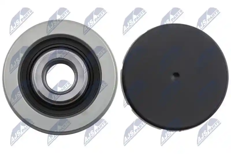 NTY ESA-VV-002